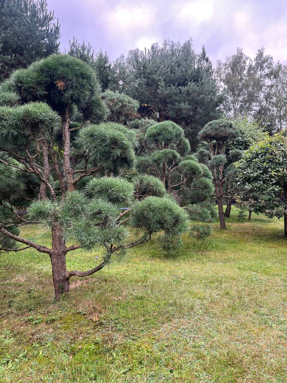 photo 5904382827502357241 y